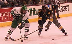 Bryan Lundbohm tries to stickhandle around Tigers defender Paul Manning.  Photo by Jason Waldowski.