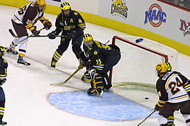 Thomas Vanek's winning goal crosses the goal line (photos: Pedro Cancel).