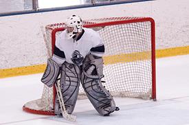 Geneseo netminder Derek Jokic made 24 saves Sunday.