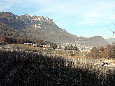 Orchards surrounding Bolzano, Italy.