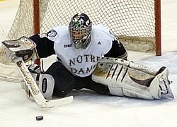 Hobey Baker finalist David Brown stopped 29 Michigan shots.