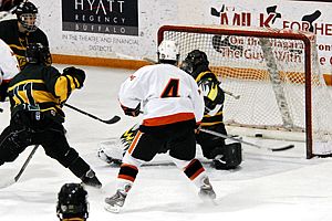 Buffalo State scores its third goal of the game in the third period (photos: Angelo Lisuzzo).