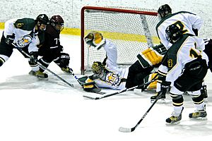 Todd Sheridan makes one of his 43 saves to lead Brockport to victory (photos: Angelo Lisuzzo).