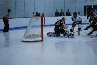 Gustavus's Josh Swartout's excellent play in net this year has brought the Gusties back to the MIAC title game (photo: Scott Bridges).