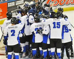 Alabama-Huntsville celebrates its sweep of Niagara (photo: Doug Eagan).