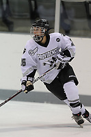 Allison Micheletti of Providence skating (David Silverman Photography)