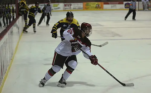 Brooke Webster of St. Lawrence Brooke Webster of St. Lawrence (St. Lawrence Athletics)