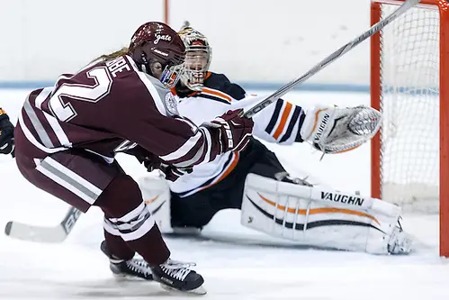 Shae Labbe (Colgate - 12) lifts the puck up and over Kimberly Newell ( Princeton - 33) for a third period goal. ((c) Shelley M. Szwast 2014)