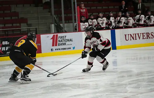 Hailey Herdine  UW-River Falls plays UW-Superior in the    2017 WIAC Women's Hockey Championship (Presented by Culver's) semi finals at Hunt Arena, Feb 25, 2017. Photo by Zoey Strain (Zoey Strain)