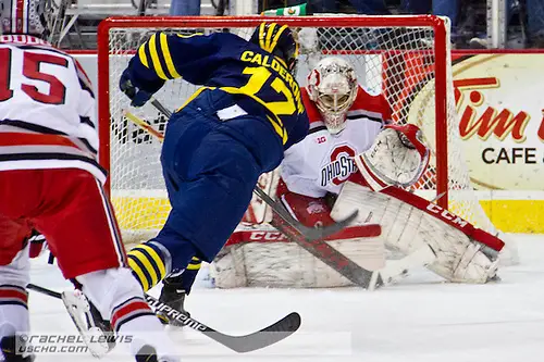 2015 FEB 20: Tony Calderone (UM - 17), Christian Frey (OSU - 30) The Ohio State Buckeyes beat the University of Michigan Wolverines 5-3 at Value City Arena in Columbus, OH. 2015 FEB 20: Tony Calderone (UM - 17), Christian Frey (OSU - 30) The Ohio State Buckeyes beat the University of Michigan Wolverines 5-3 at Value City Arena in Columbus, OH. (©Rachel Lewis)