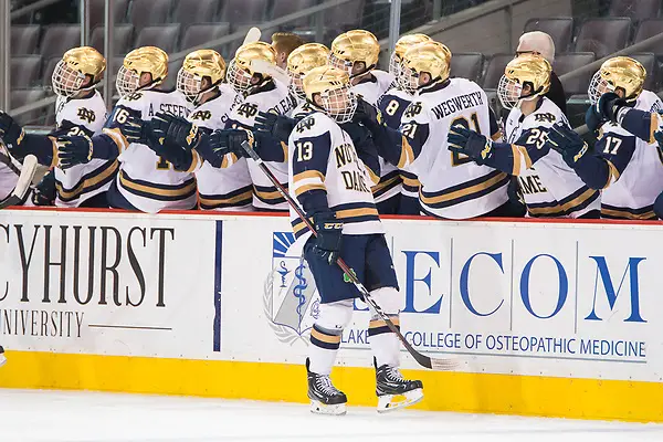 Notre Dame players celebrate a goal by Colin Theisen (13 - Notre Dame) (2018 Omar Phillips)