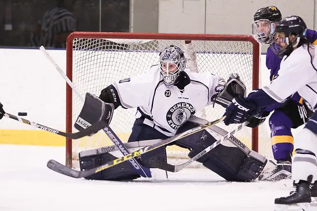 Devin McDonald of Geneseo Devin McDonald of Geneseo (Geneseo Athletics)