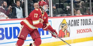 Slava Demin (Denver-17) 2019 March 22 Denver and University of Minnesota Duluth meet in the semi finals of the NCHC Frozen Face Off at the Xcel Energy Center in St. Paul, MN (Bradley K. Olson)