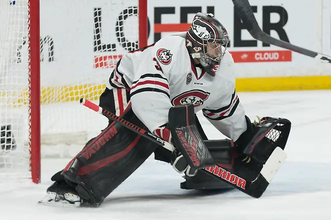 David Hrenak (SCSU-34) 2019 March 23 University of Minnesota Duluth and St. Cloud State University meet in the championship game of the NCHC Frozen Face Off at the Xcel Energy Center in St. Paul, MN (Bradley K. Olson)