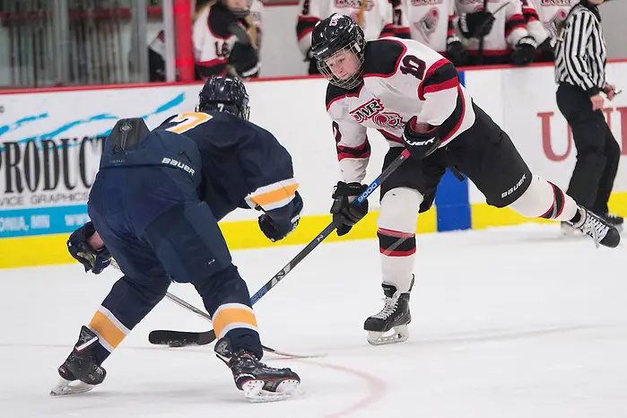 Callie Hoff (10) takes a shot in the second period against UW-Eau Claire in the O'Brien Cup game at Hunt Arena Saturday, March 3, 2018.  Womens Hockey VS Eau Claire_OBrien Cup_03032018_TSWomens Hockey VS Eau Claire_OBrien Cup_03032018_TS (Tori Schneider)