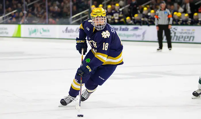 during game action between University of Notre Dame vs Michigan State University at Munn Ice Arena on November 22, 2019 in East Lansing, Michigan. (Mike Miller/Fighting Irish Media)