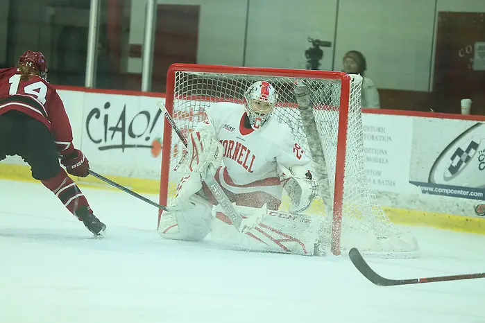 The Cornell Big Red women's ice hockey team competes against Harvard on Saturday, Jan. 18, 2020 in Lynah Rink in Ithaca, NY. (Darl Zehr/Cornell Athletics)