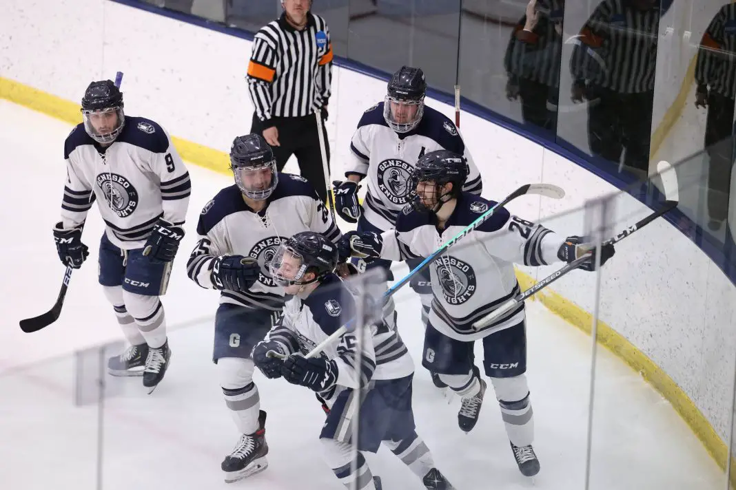 Mens D3 Hockey College Hockey