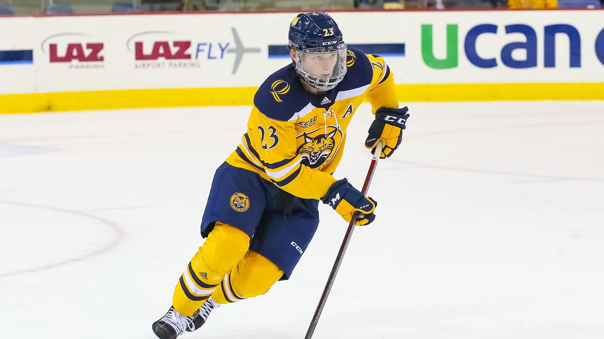 Previewing the 2023 NCAA hockey tournament, Bridgeport Regional Quinnipiac, Harvard, Ohio State, Merrimack