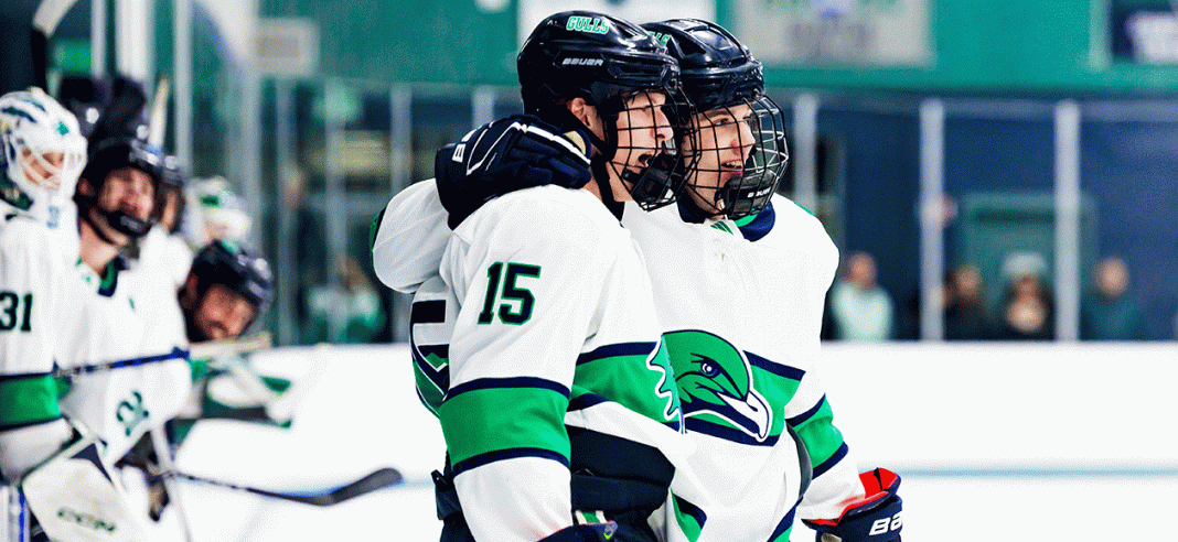 NCAA DIII Men's Hockey First Round Game Picks March 9, 2024