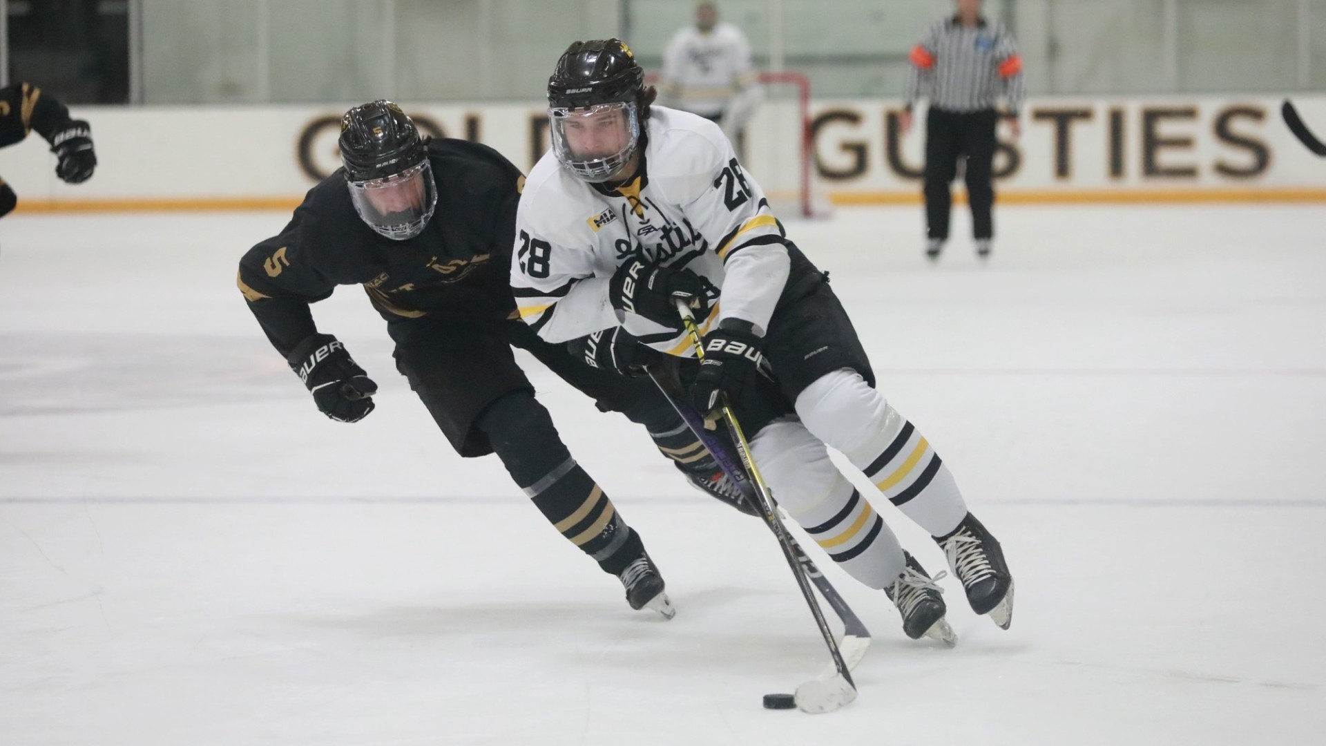 cc-hockey-the-next-generation-of-stars
